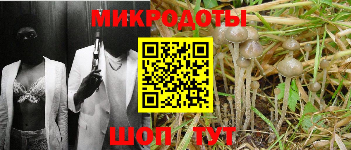 Галлюциногенные грибы прущие грибы Сунжа
