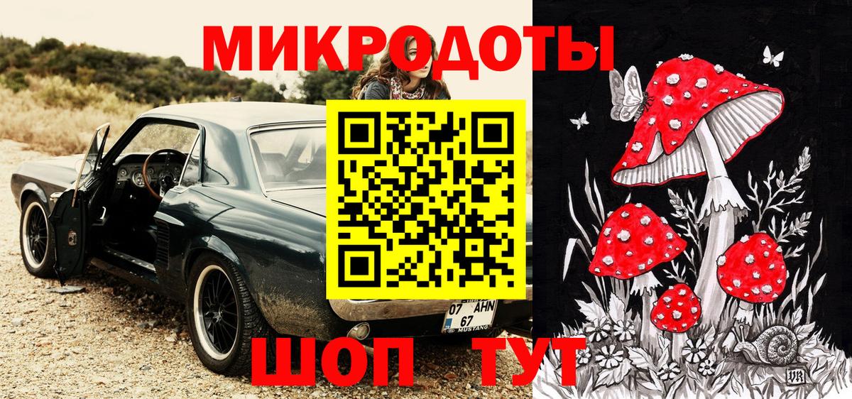Сунжа  Галлюциногенные грибы Psilocybe  Вход с VPN 